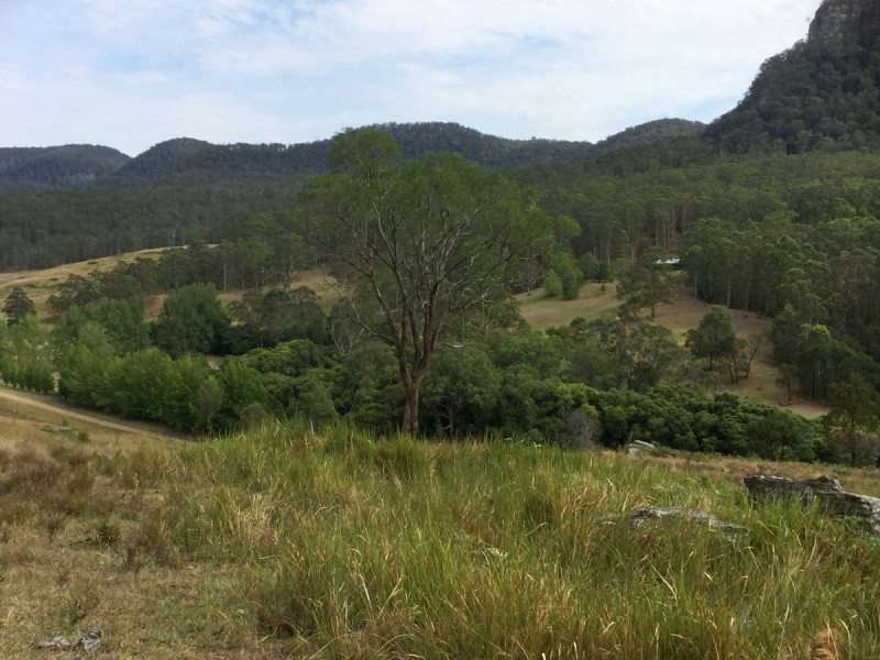 1646 Congewai Road, Congewai NSW 2325