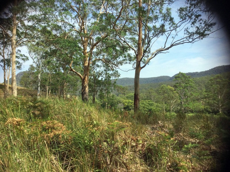 1646 Congewai Road, Congewai NSW 2325