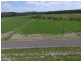 223-225 Fotheringay Road, Clarence Town NSW 2321