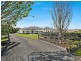 31 Sandstone Drive, Windella NSW 2320