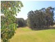 31 Sandstone Drive, Windella NSW 2320