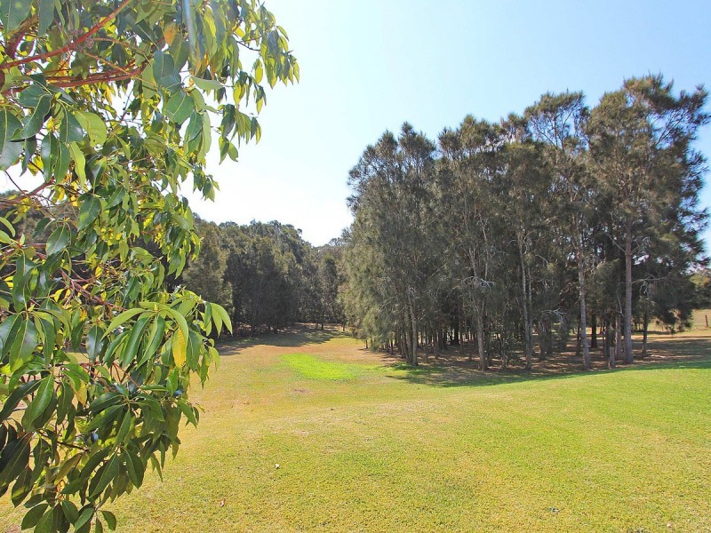 31 Sandstone Drive, Windella NSW 2320