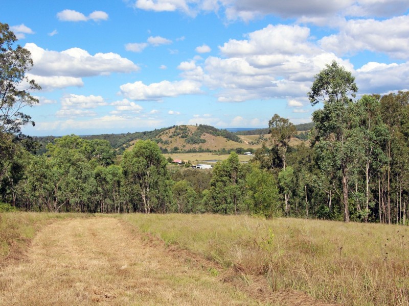 712 Luskintyre Road, Luskintyre NSW 2321