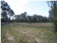 1045 Wollombi Road, Greta Main NSW 2325