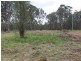 1045 Wollombi Road, Greta Main NSW 2325