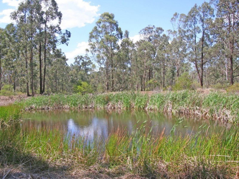 Lot 12 Lodge Road, Lovedale NSW 2325