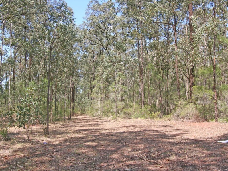 Lot 12 Lodge Road, Lovedale NSW 2325
