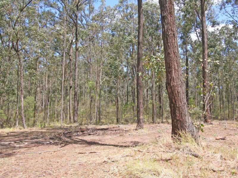 Lot 12 Lodge Road, Lovedale NSW 2325