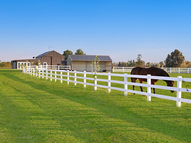 386 Wilderness Road, Lovedale NSW 2325