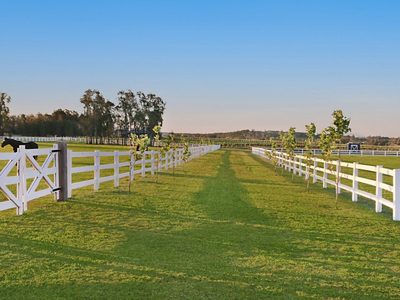 386 Wilderness Road, Lovedale NSW 2325