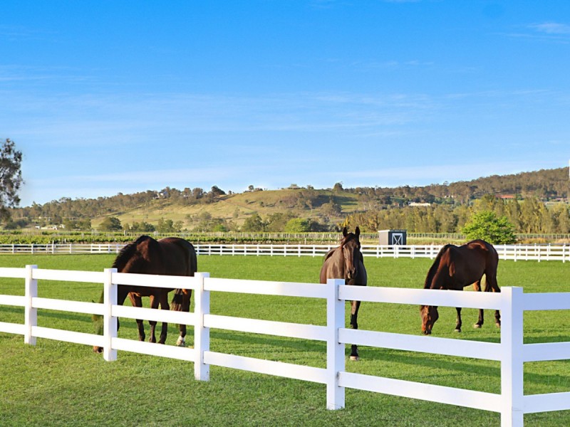 386 Wilderness Road, Lovedale NSW 2325