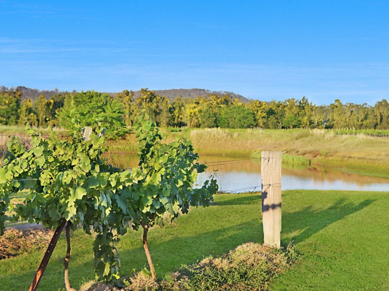 386 Wilderness Road, Lovedale NSW 2325