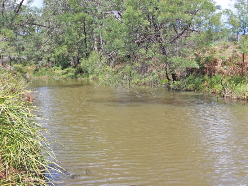 115 Murrays Run, Laguna NSW 2325