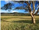 221 Fotheringay Road, Clarence Town NSW 2321