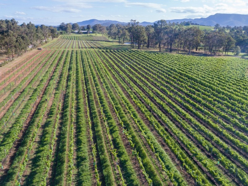 138 Gillards Road, Pokolbin NSW 2320