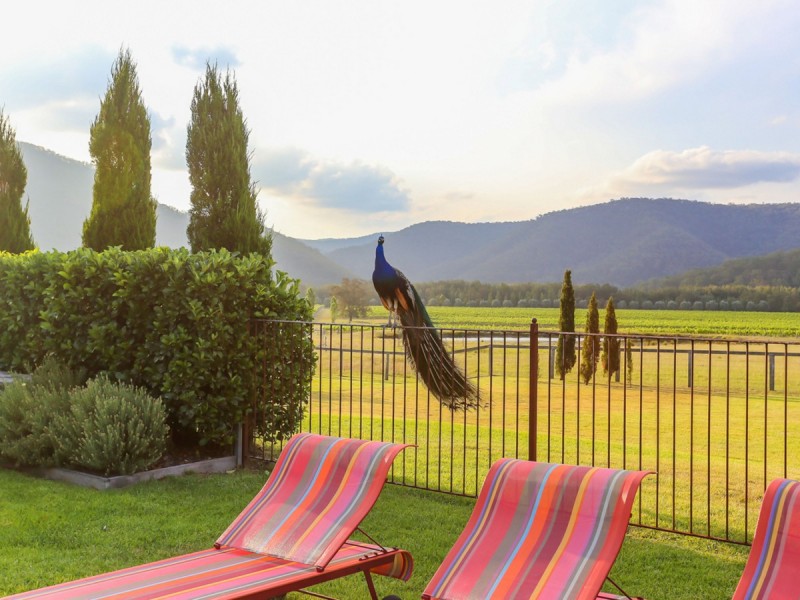 712 Wollombi Road, Broke NSW 2330