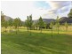 712 Wollombi Road, Broke NSW 2330
