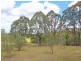 339 The Inlet Road, Bulga NSW 2330
