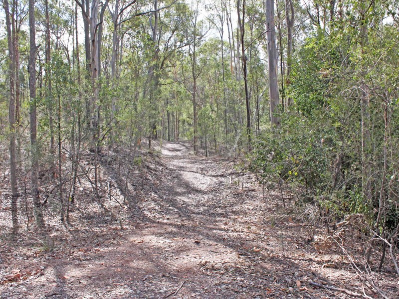 339 The Inlet Road, Bulga NSW 2330