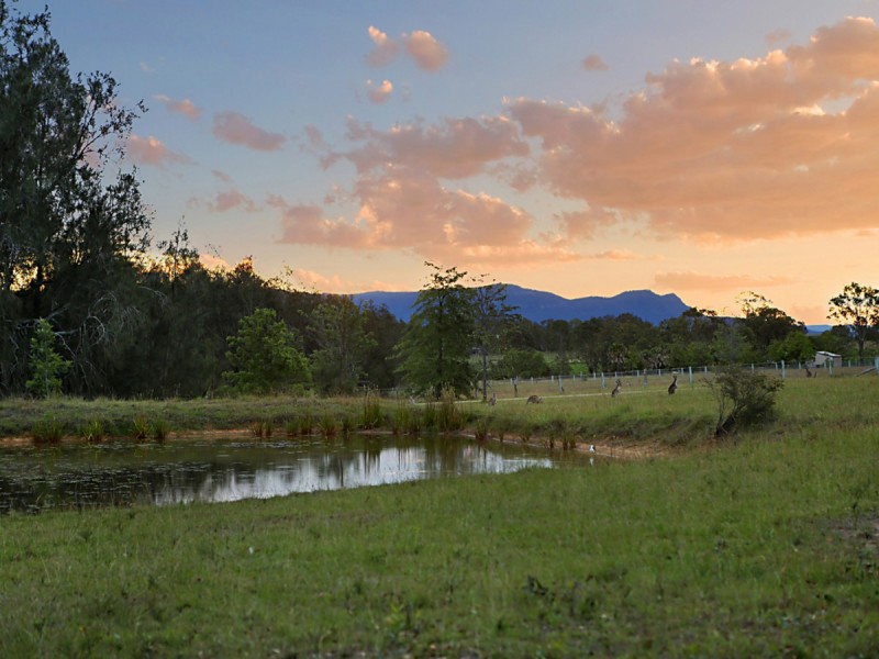 74 Wilderness Road, Lovedale NSW 2325