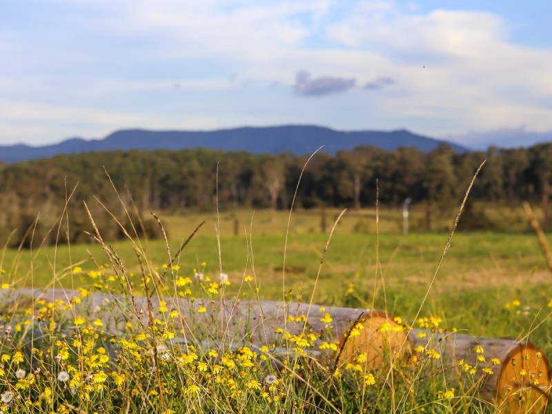 Rosehill Estate – Peninsula Release, Millfield NSW 2325