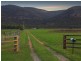 420 Milbrodale Road, Broke NSW 2330