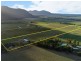 420 Milbrodale Road, Broke NSW 2330