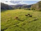 2269 Wollombi Road, Wollombi NSW 2325