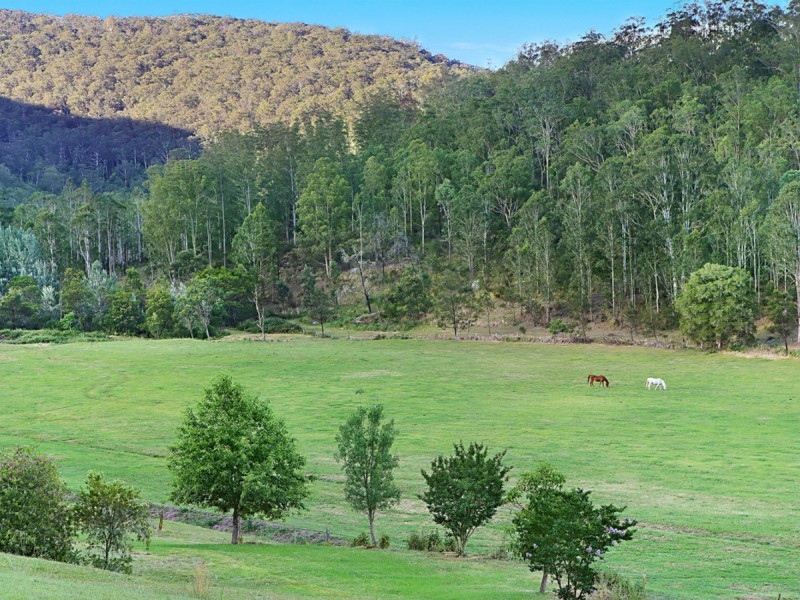 2269 Wollombi Road, Wollombi NSW 2325
