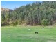 2269 Wollombi Road, Wollombi NSW 2325