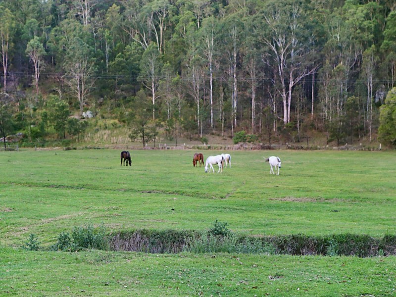 2269 Wollombi Road, Wollombi NSW 2325