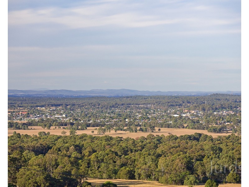 37 Moon Mountain Drive, Mount View NSW 2325