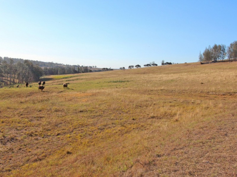 125 Summerhill Road, Branxton NSW 2335