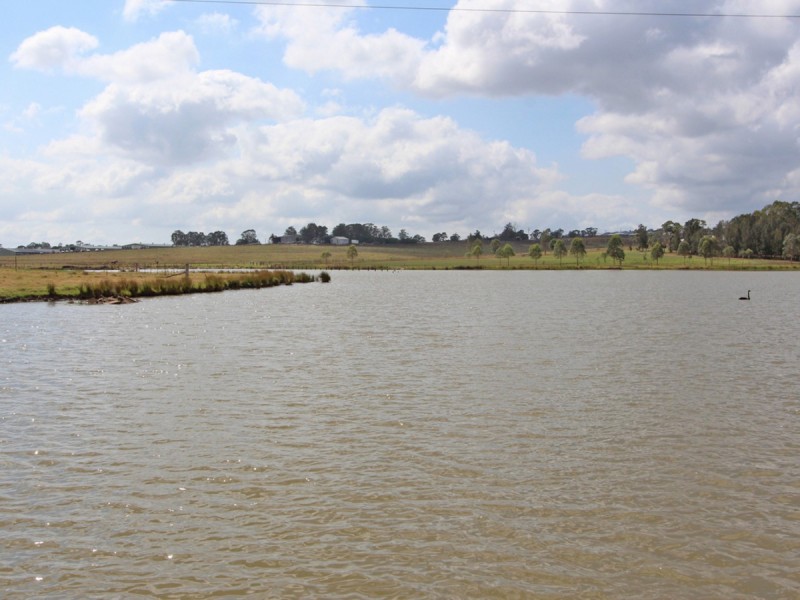 Lot 71 Ryans Road, Gillieston Heights NSW 2321