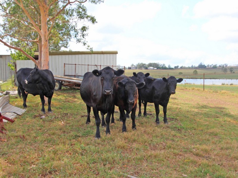Lot 71 Ryans Road, Gillieston Heights NSW 2321