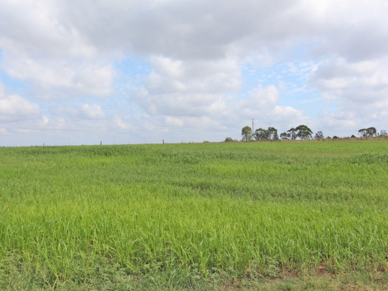 Lot 71 Ryans Road, Gillieston Heights NSW 2321