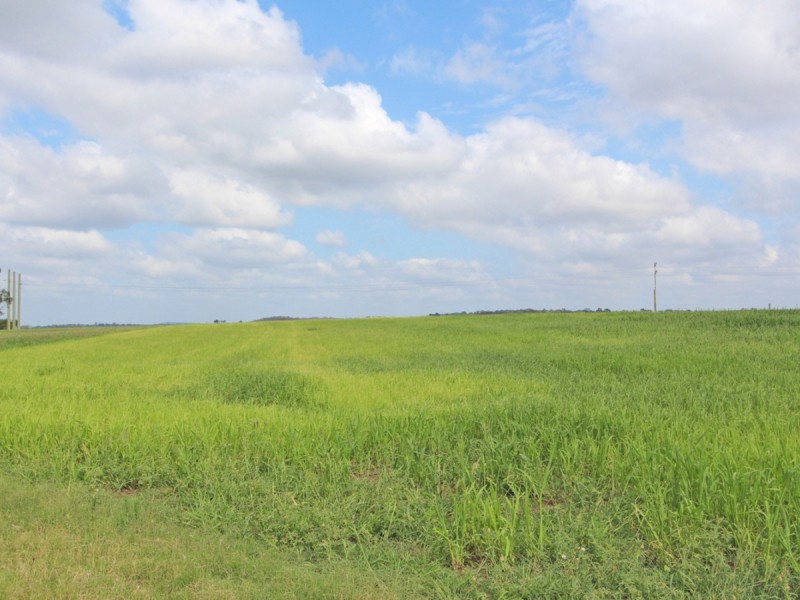 Lot 71 Ryans Road, Gillieston Heights NSW 2321
