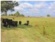 Lot 71 Ryans Road, Gillieston Heights NSW 2321