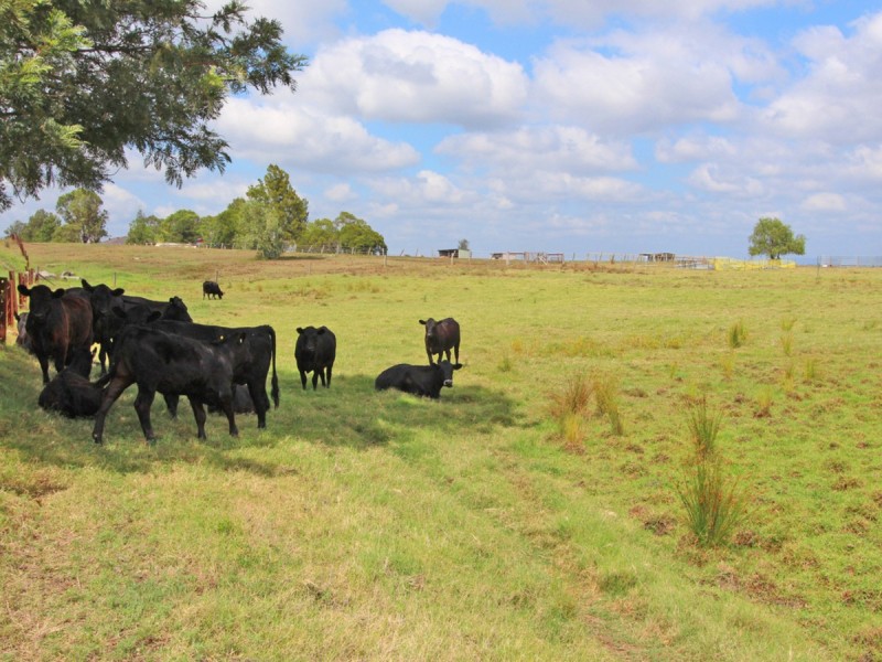 Lot 71 Ryans Road, Gillieston Heights NSW 2321