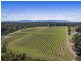 160 Londons Road, Lovedale NSW 2325