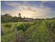 160 Londons Road, Lovedale NSW 2325