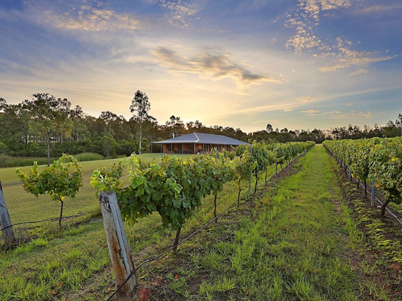 160 Londons Road, Lovedale NSW 2325