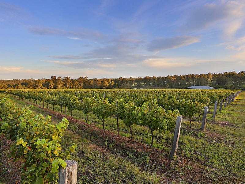 160 Londons Road, Lovedale NSW 2325