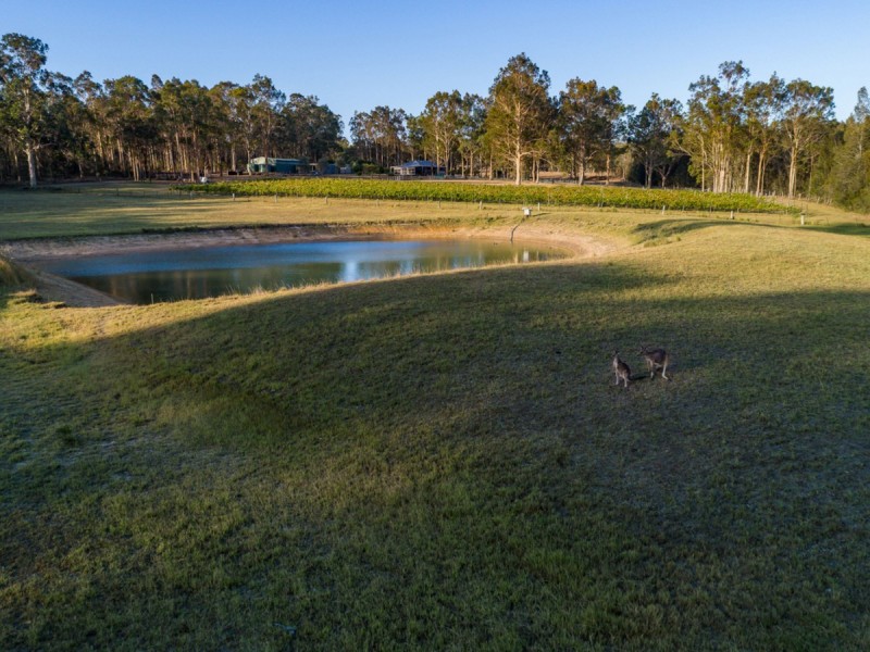 290 Old North Road, Pokolbin NSW 2320