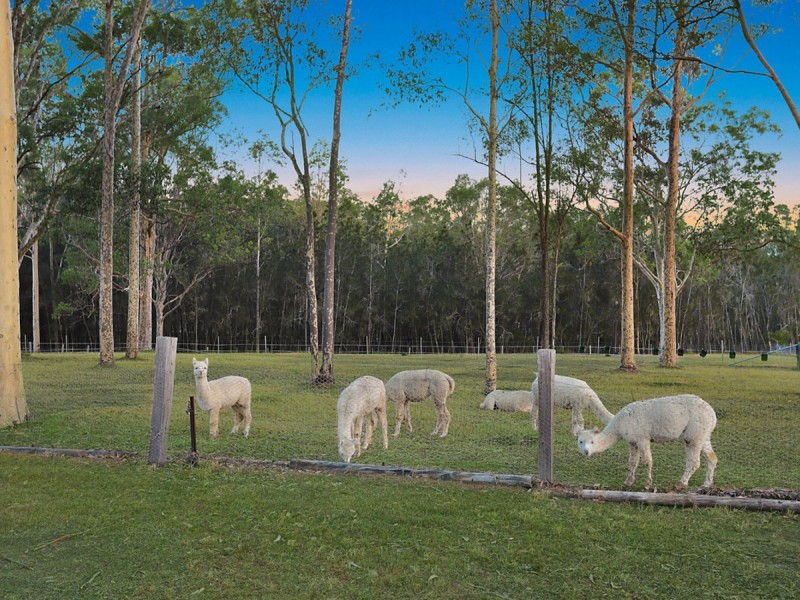 290 Old North Road, Pokolbin NSW 2320