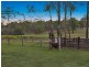 290 Old North Road, Pokolbin NSW 2320