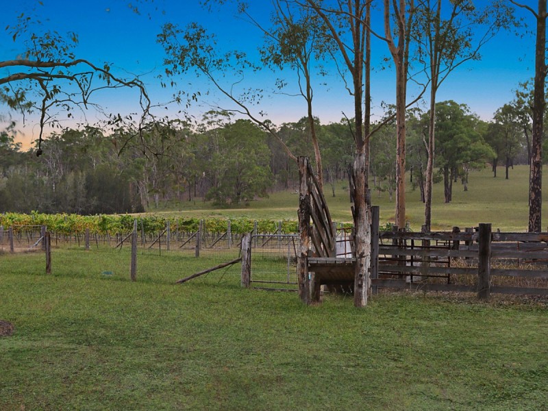 290 Old North Road, Pokolbin NSW 2320