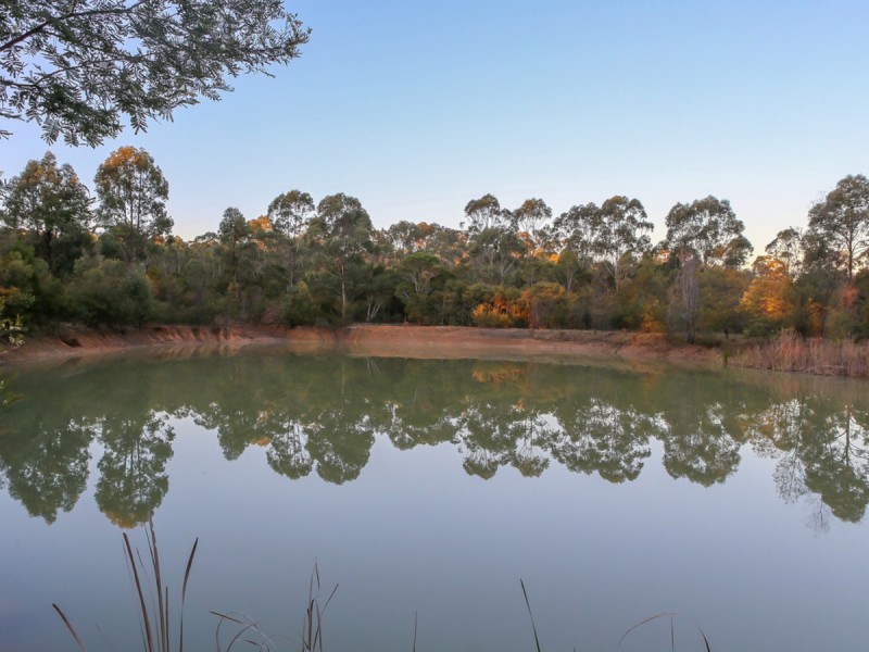 95 Lomas Lane, Nulkaba NSW 2325