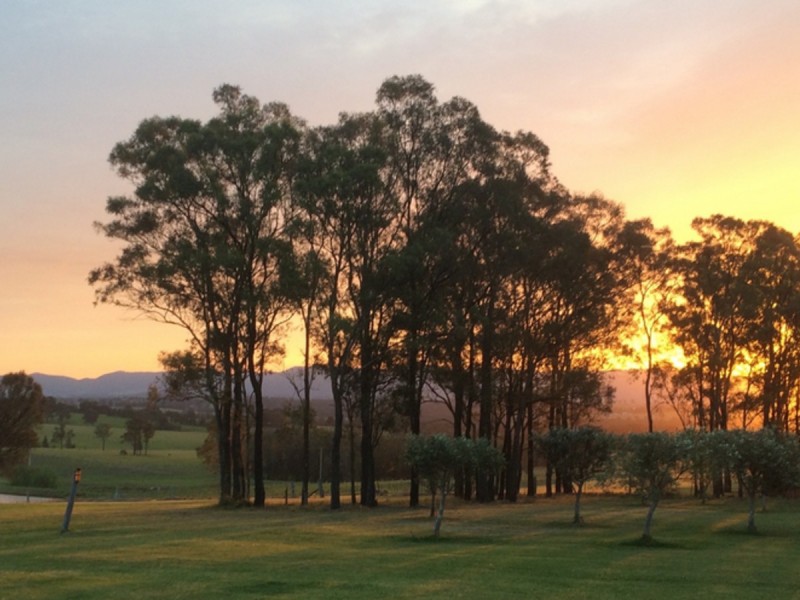 169 Talga Road, Lovedale NSW 2325