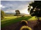 169 Talga Road, Lovedale NSW 2325